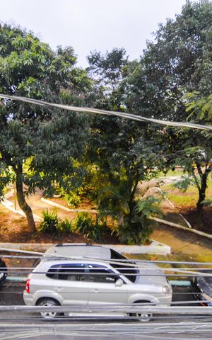 Casa para alugar com 65m², 2 quartos e 2 vagasVista da Varanda