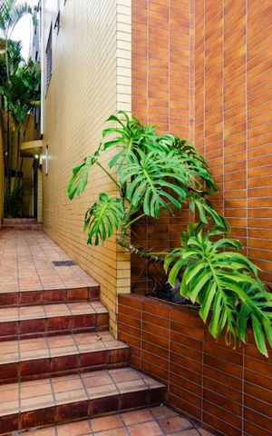 Apartamento à venda com 41m², 1 quarto e 1 vaga