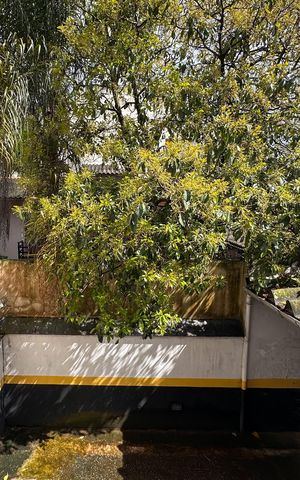 Apartamento para alugar com 60m², 2 quartos e 1 vaga Apartamento para alugar com 60m², 2 quartos e 1 vagaVista do Quarto 2