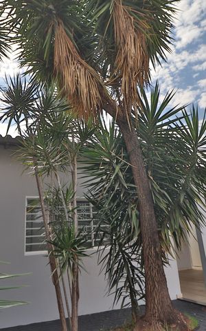 Casa para alugar com 195m², 4 quartos e 4 vagasJardim
