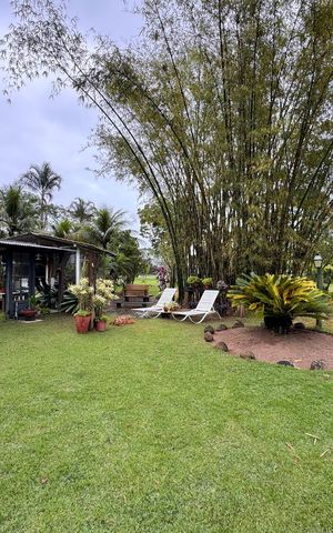 Casa para alugar com 10000m², 3 quartos e 4 vagas Casa para alugar com 10000m², 3 quartos e 4 vagasÁrea externa