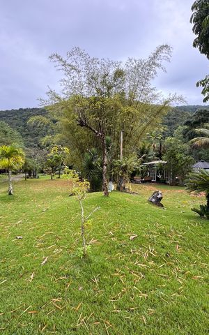 Casa para alugar com 10000m², 3 quartos e 4 vagas Casa para alugar com 10000m², 3 quartos e 4 vagasÁrea externa