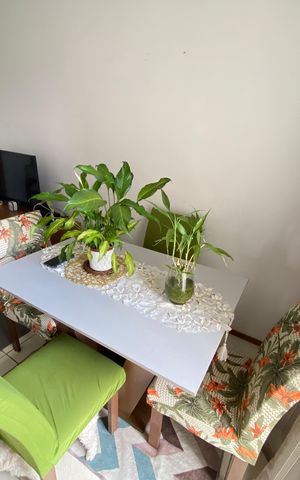Apartamento à venda com 60m², 3 quartos e 1 vaga