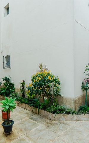 Apartamento para alugar com 55m², 2 quartos e 1 vagaÁrea comum