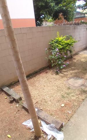 Apartamento à venda com 115m², 2 quartos e 1 vaga Apartamento à venda com 115m², 2 quartos e 1 vagaÁrea externa