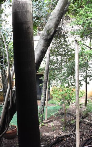 Casa à venda com 234m², 4 quartos e 3 vagasQuintal