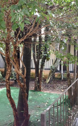 Casa à venda com 234m², 4 quartos e 3 vagasQuintal