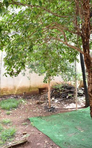 Casa à venda com 234m², 4 quartos e 3 vagasQuintal