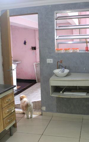 Casa para alugar com 20m², 1 quarto e sem vagaCozinha