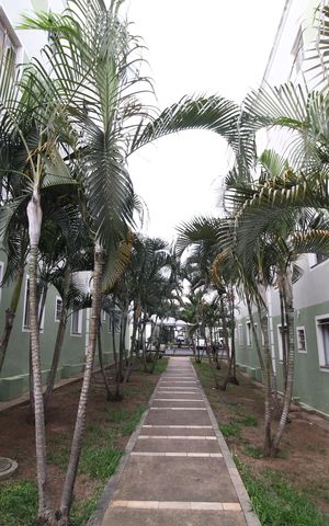 Apartamento para alugar com 45m², 2 quartos e 1 vagaÁrea comum