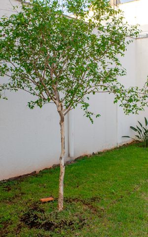 Apartamento à venda com 66m², 2 quartos e 1 vaga