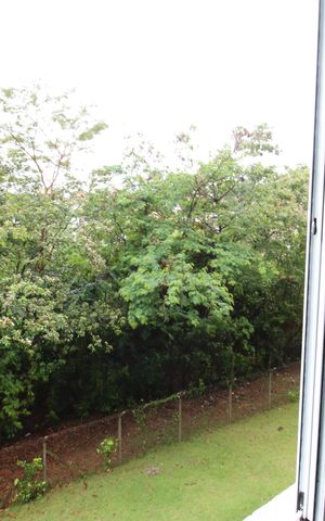 Apartamento para alugar com 47m², 2 quartos e 1 vagaVista janela quarto 2