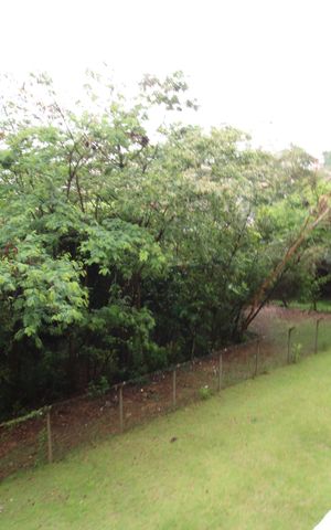 Apartamento para alugar com 47m², 2 quartos e 1 vagaVista janela Quarto 1