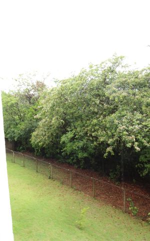 Apartamento para alugar com 47m², 2 quartos e 1 vagaVista janela quarto 01