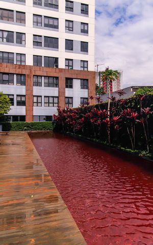 Apartamento para alugar com 70m², 2 quartos e 1 vaga Apartamento para alugar com 70m², 2 quartos e 1 vagaÁrea comum - Piscina