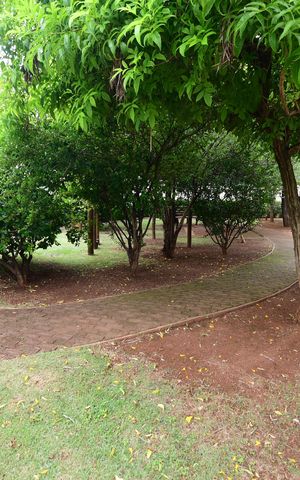 Apartamento para alugar com 49m², 2 quartos e 1 vagaÁrea comum