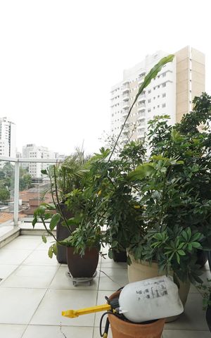 Apartamento à venda com 226m², 4 quartos e 4 vagasVaranda