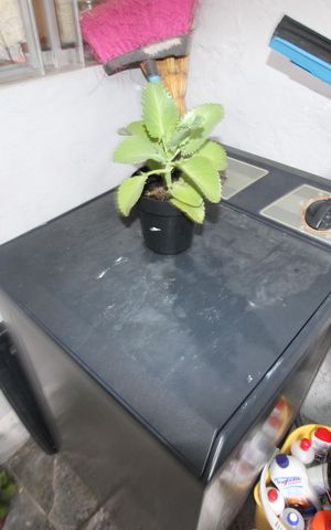 Casa à venda com 100m², 1 quarto e 3 vagasÁrea de Serviço