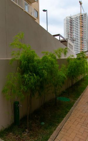 Apartamento para alugar com 36m², 2 quartos e sem vaga Apartamento para alugar com 36m², 2 quartos e sem vagaÁrea Comum