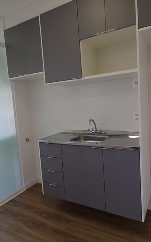 Apartamento para alugar com 37m², 1 quarto e sem vagaCozinha
