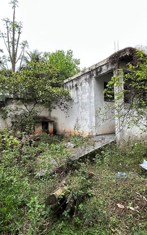 Casa para alugar com 660m², 3 quartos e 6 vagasQuintal