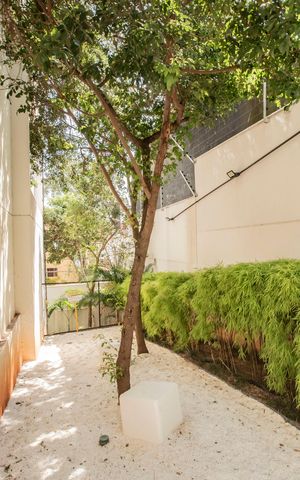 Apartamento para alugar com 65m², 2 quartos e 1 vaga Apartamento para alugar com 65m², 2 quartos e 1 vagaÁrea comum - Pet place