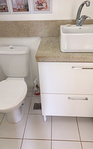 Apartamento para alugar com 68m², 3 quartos e 1 vagaBanheiro da Suíte