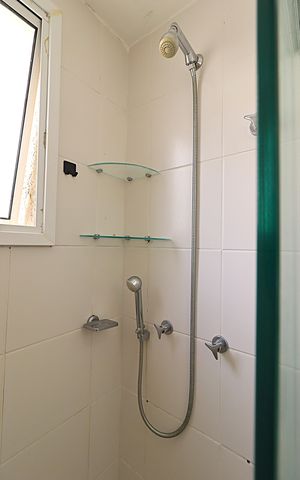 Apartamento para alugar com 68m², 3 quartos e 1 vagaBanheiro da Suíte