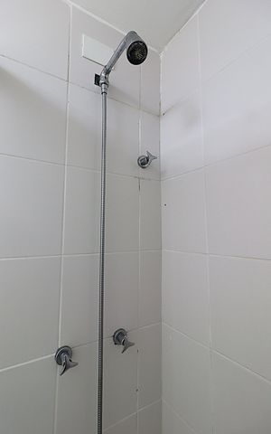 Apartamento para alugar com 68m², 3 quartos e 1 vagaBanheiro Social