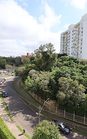 Apartamento para alugar com 68m², 3 quartos e 1 vagaVista do Quarto 3