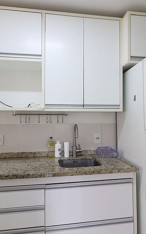 Apartamento para alugar com 68m², 3 quartos e 1 vagaCozinha