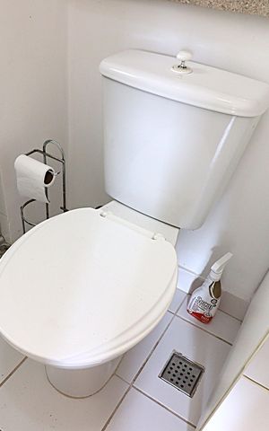 Apartamento para alugar com 68m², 3 quartos e 1 vagaBanheiro da Suíte