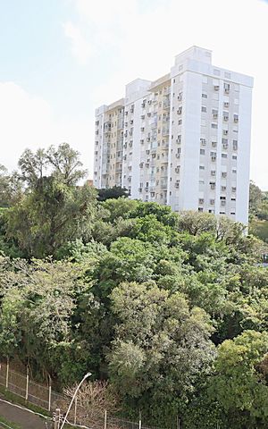 Apartamento para alugar com 68m², 3 quartos e 1 vagaVista da Sala
