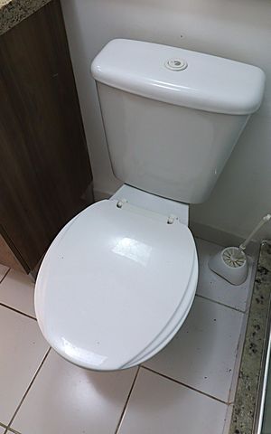 Apartamento para alugar com 68m², 3 quartos e 1 vagaBanheiro Social