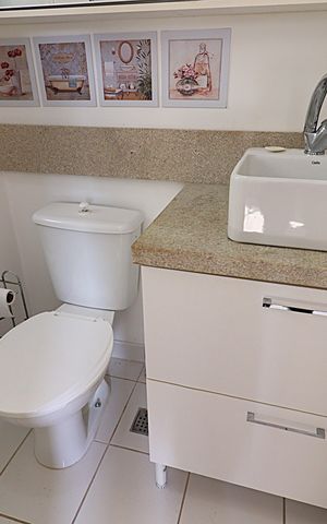 Apartamento para alugar com 68m², 3 quartos e 1 vagaBanheiro da Suíte