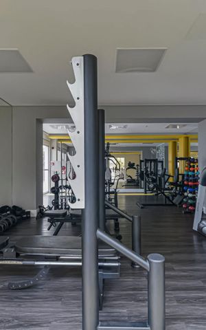 Apartamento para alugar com 59m², 2 quartos e 1 vagaÁrea comum - Academia