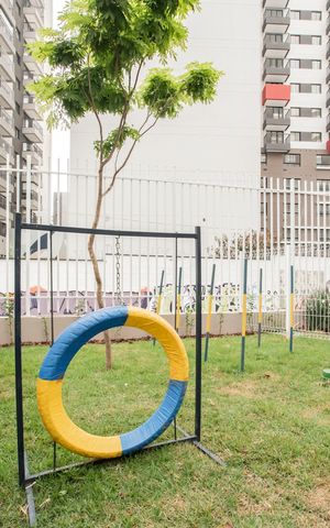 Apartamento para alugar com 30m², 1 quarto e sem vaga Apartamento para alugar com 30m², 1 quarto e sem vagaÁrea comum - Pet place