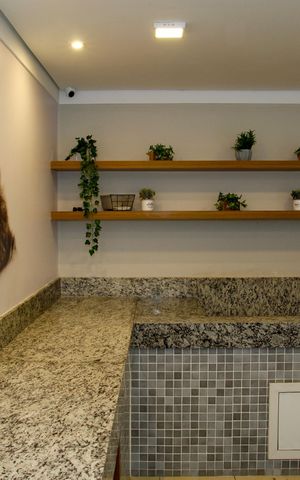 Apartamento para alugar com 33m², 2 quartos e sem vaga Apartamento para alugar com 33m², 2 quartos e sem vagaPet Care