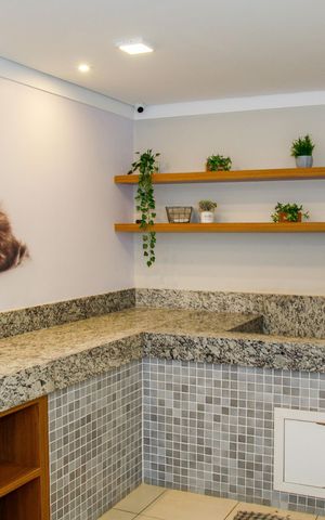 Apartamento para alugar com 33m², 2 quartos e sem vaga Apartamento para alugar com 33m², 2 quartos e sem vagaPet Care