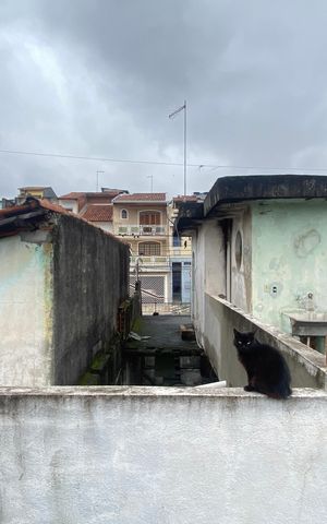 Casa à venda com 300m², 3 quartos e 3 vagas Casa à venda com 300m², 3 quartos e 3 vagasVaranda