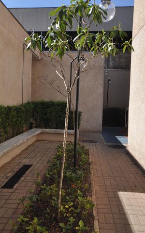 Apartamento para alugar com 35m², 2 quartos e sem vagaÁrea comum