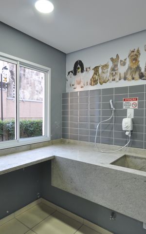 Apartamento para alugar com 35m², 2 quartos e sem vagaEspaço Pet