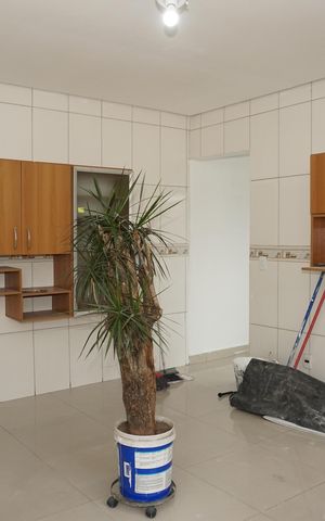 Casa para alugar com 150m², 3 quartos e 2 vagasCozinha