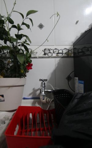 Apartamento para alugar com 53m², 2 quartos e 1 vagaÁrea de Serviço