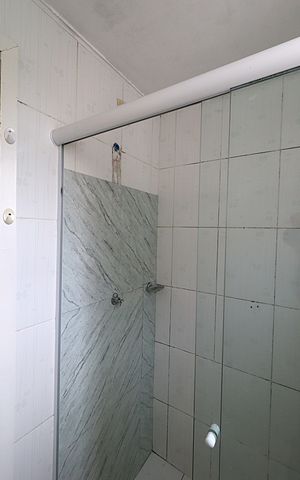 Apartamento para alugar com 55m², 2 quartos e sem vagaBanheiro