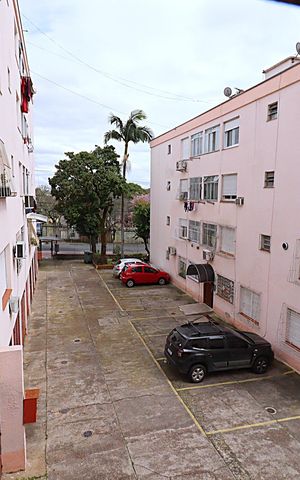 Apartamento para alugar com 55m², 2 quartos e sem vagaVista da Cozinha/Área de serviço