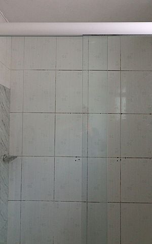 Apartamento para alugar com 55m², 2 quartos e sem vagaBanheiro