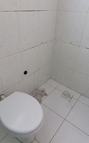 Apartamento para alugar com 55m², 2 quartos e sem vagaBanheiro