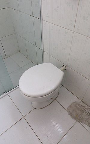 Apartamento para alugar com 55m², 2 quartos e sem vagaBanheiro