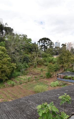 Casa para alugar com 182m², 2 quartos e 1 vagaVista da Cozinha 2